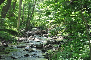 Emery Park